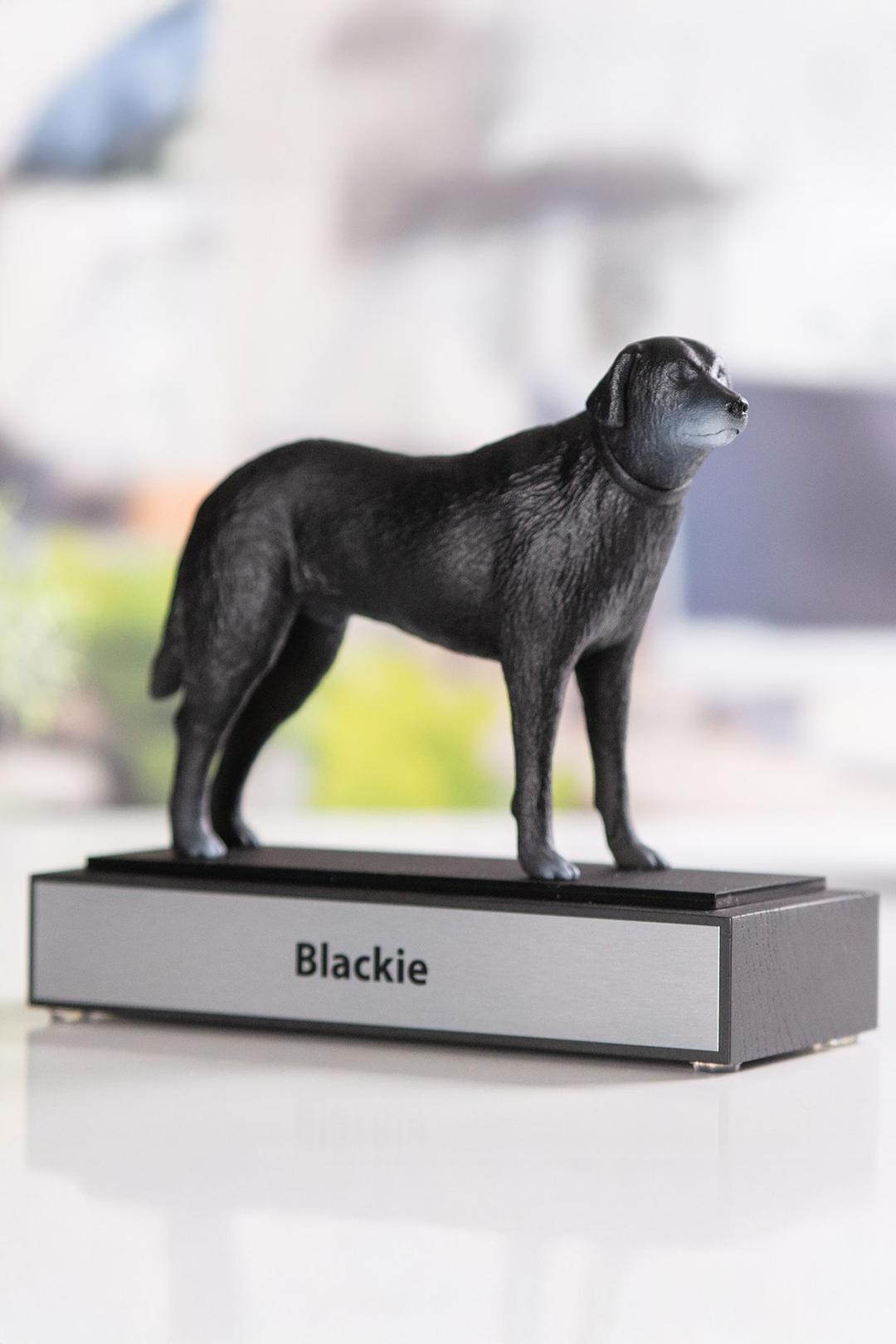 3D trofee -  D3D007