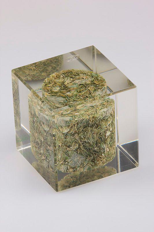 Acryl trofee -  AKR006